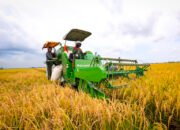 Mentan Sebut Moderenisasi Pertanian Tingkatkan Produksi Pangan