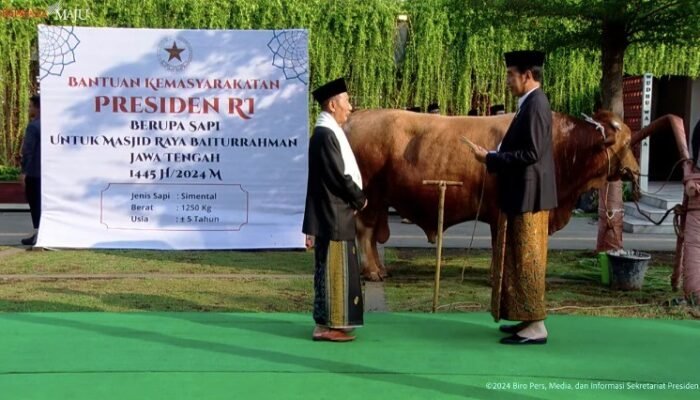 Jokowi Serahkan Sapi Simental Berat 1,25 Ton untuk Kurban